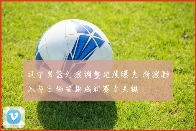 辽宁男篮外援调整进展曝光 新援融入与出场安排成新赛季关键