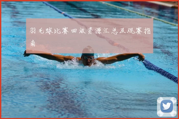 羽毛球比赛回放资源汇总及观赛指南