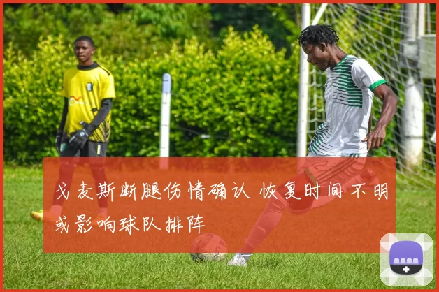 戈麦斯断腿伤情确认 恢复时间不明或影响球队排阵