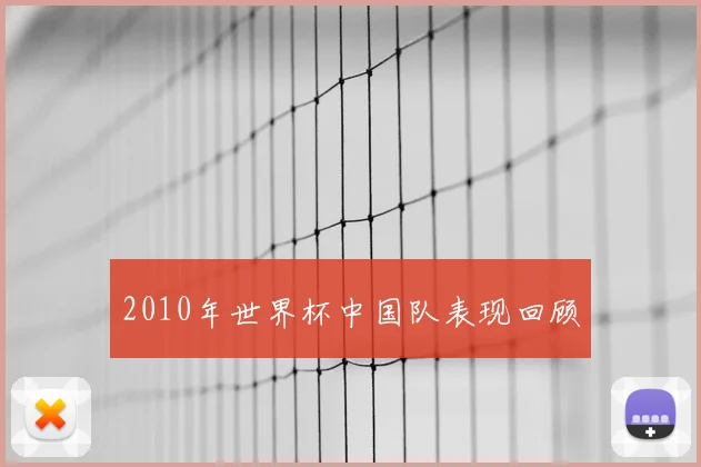 2010年世界杯中国队表现回顾