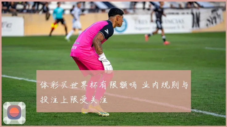 体彩买世界杯有限额吗 业内规则与投注上限受关注