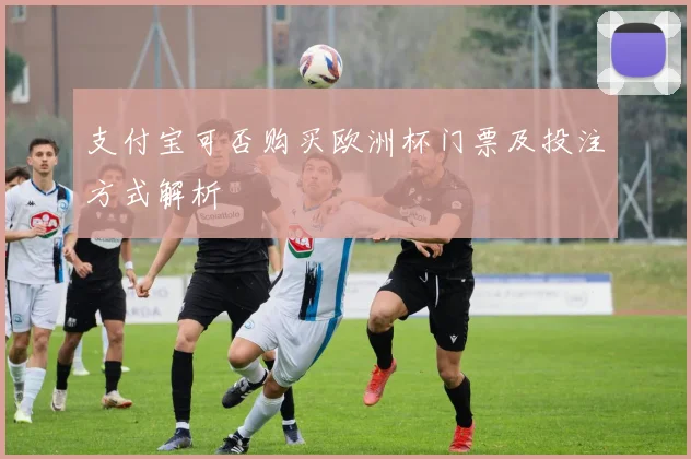 支付宝可否购买欧洲杯门票及投注方式解析