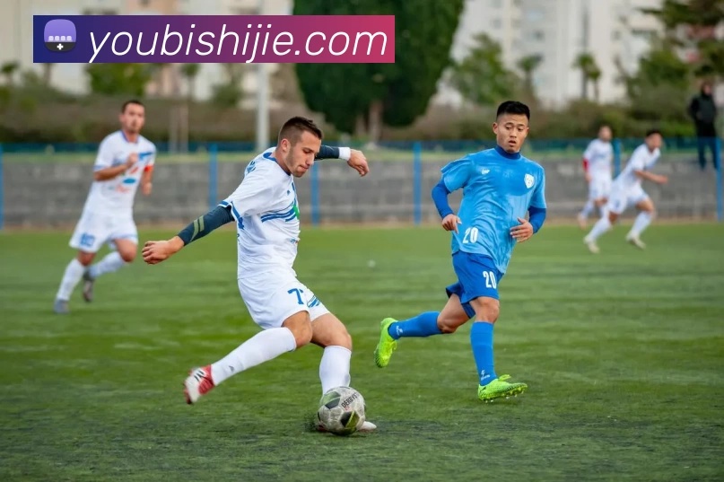 多媒体互动体验